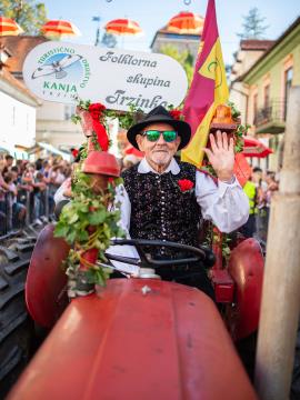 Izjemen obisk zaznamoval 50. Dneve narodnih noš in oblačilne dediščine v Kamniku (Blaž T. Muc)  (130)